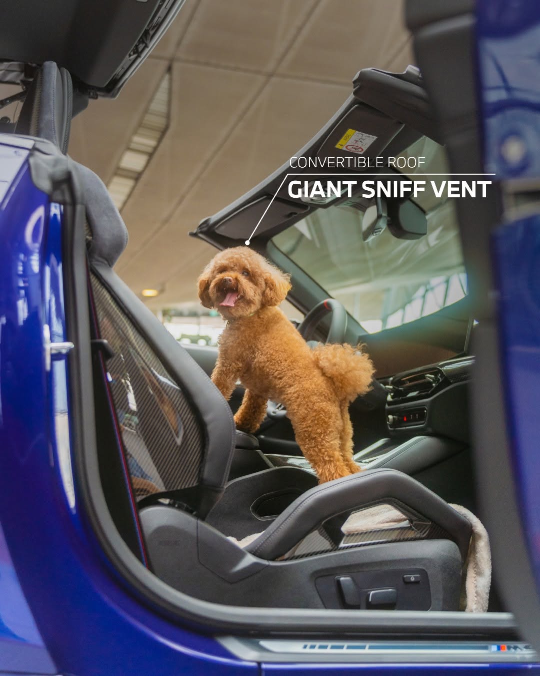 BMW Design Meets Dog Logic slide 02