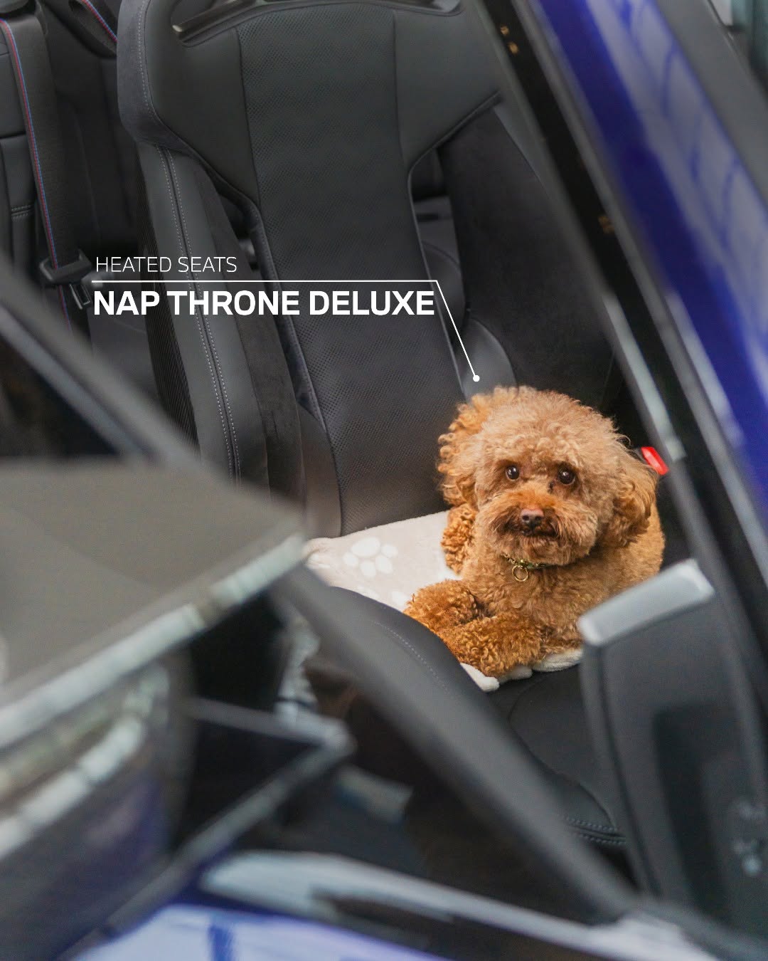 BMW Design Meets Dog Logic slide 03