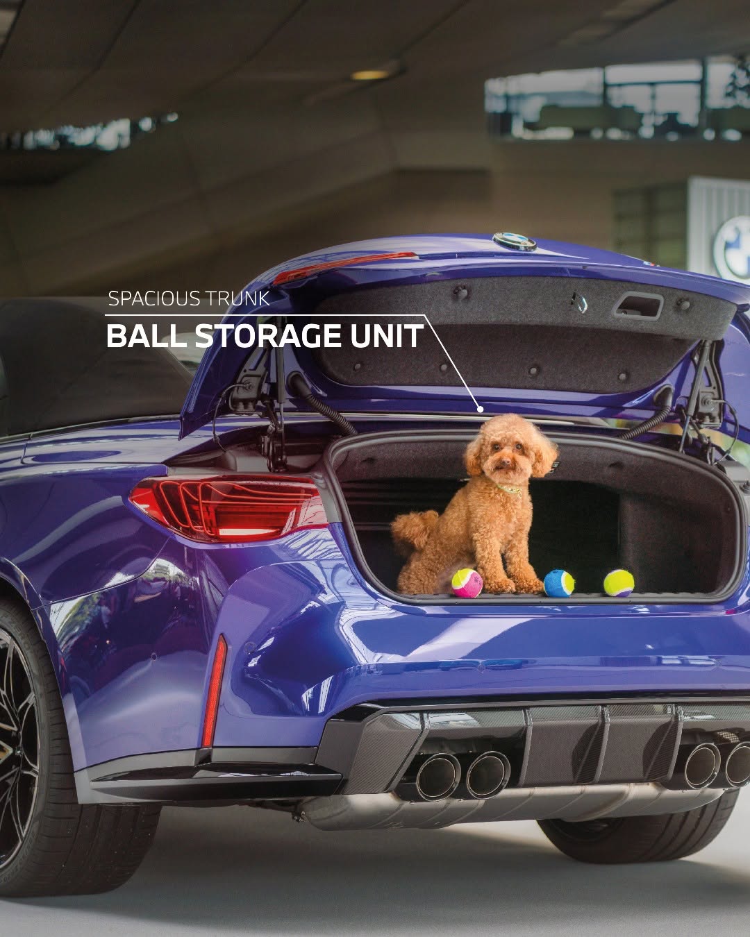 BMW Design Meets Dog Logic slide 04