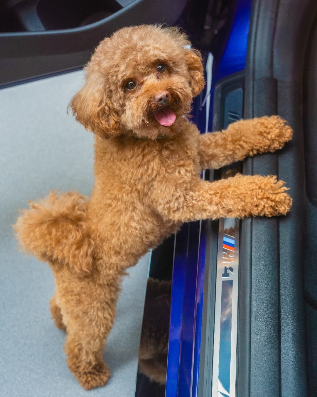 BMW Design Meets Dog Logic slide 06