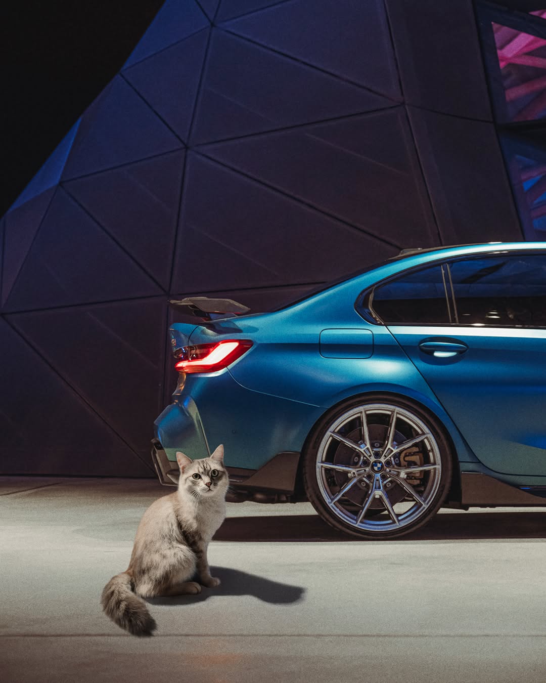 Cat Day At BMW Welt slide 02