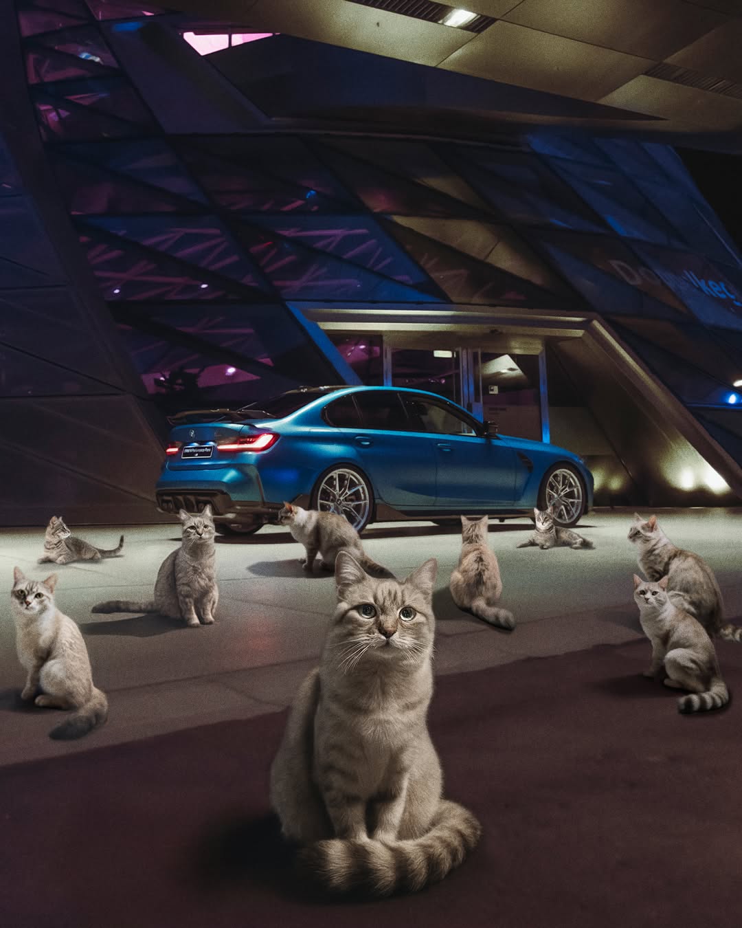 Cat Day At BMW Welt slide 03